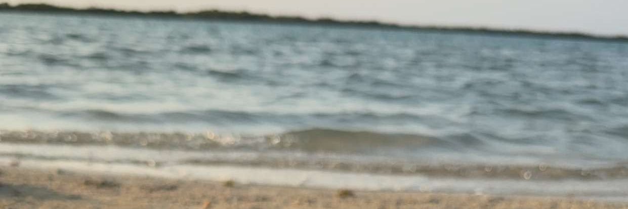 . banner
