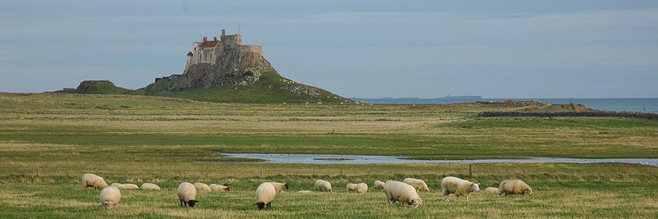 Armagh_2's profile banner image