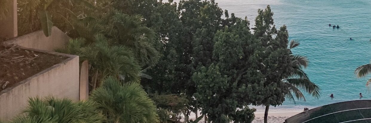 nncollard's profile banner image