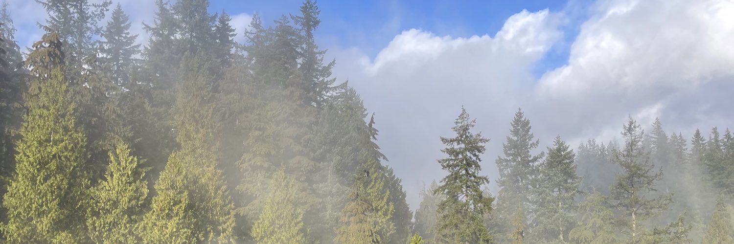 emdool's profile banner image