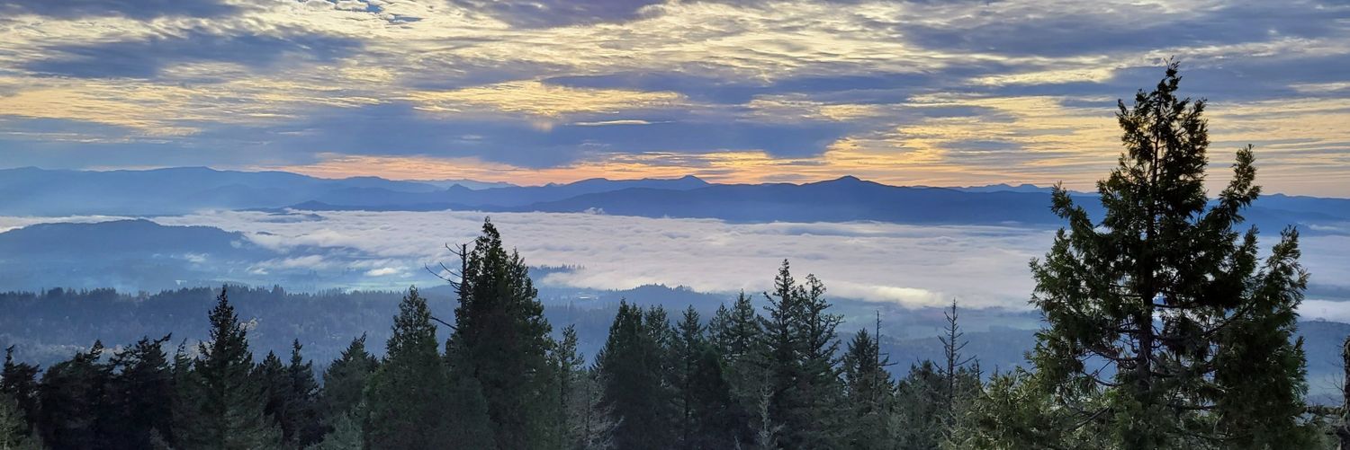 Justin in Oregon 🌻 🍉 ❤️ ⚖️ ✌️ 🌎's banner