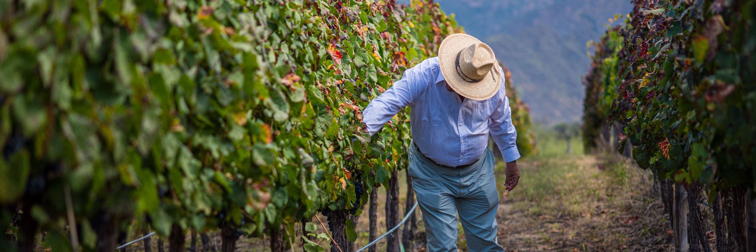 Bodega Altupalka banner