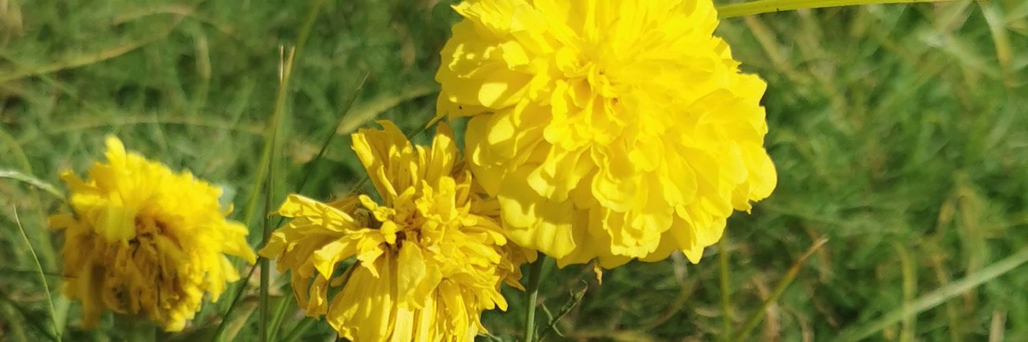 AJOPower's profile banner image