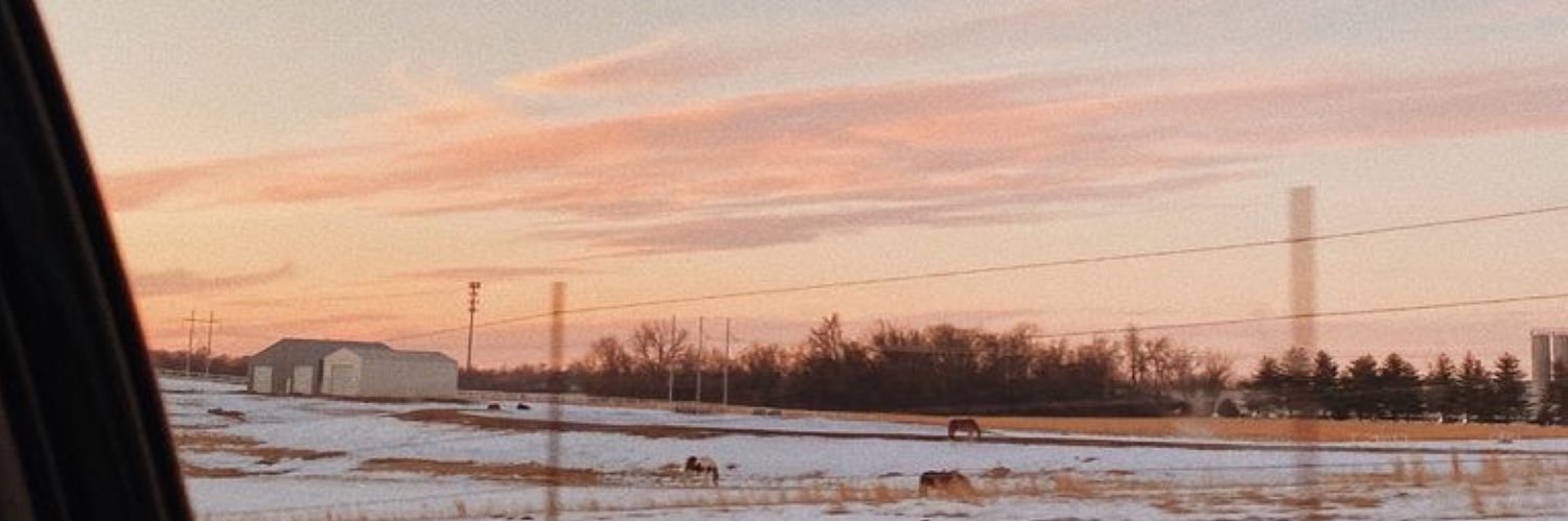 AddingtonBrit's profile banner image