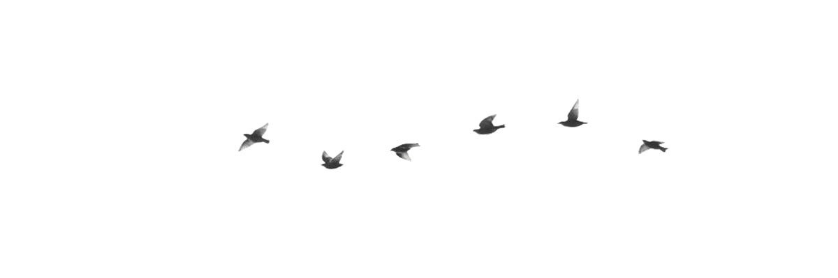 IIKhadijah_'s profile banner image