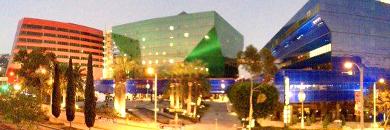 Los Angeles Dogs For You! 🐶 banner