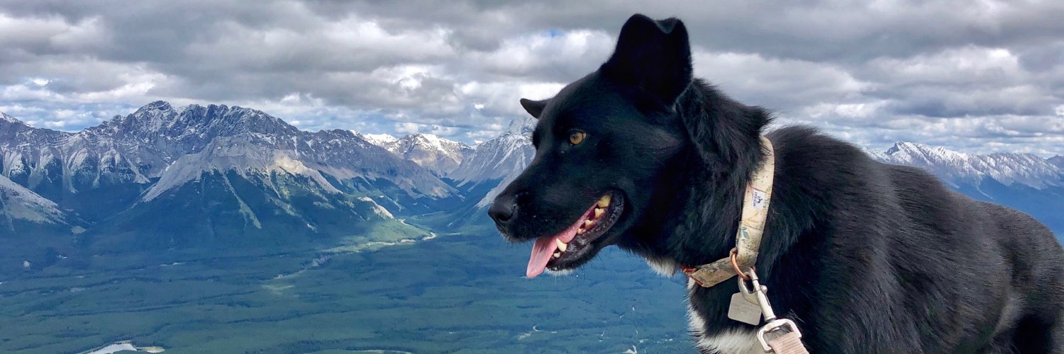 maddy_lapointe's profile banner image
