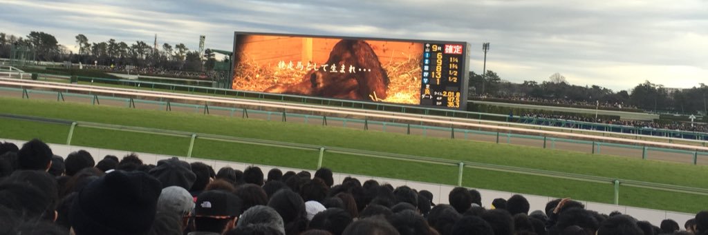 sisisishion's profile banner image
