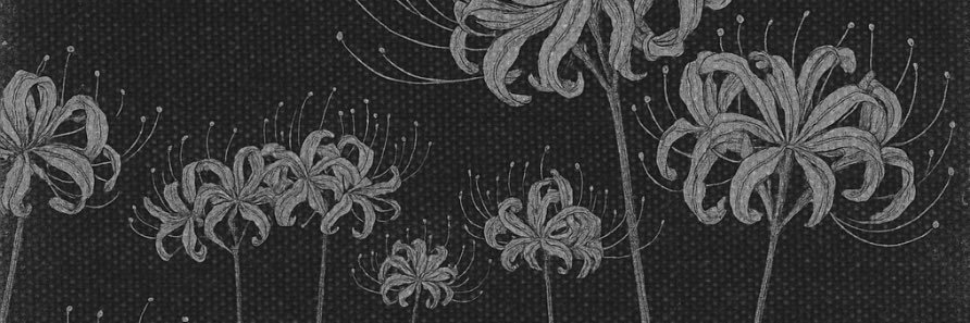 🏴Ray🏴 banner