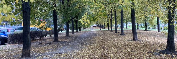 RobertTroyTD Profile Banner