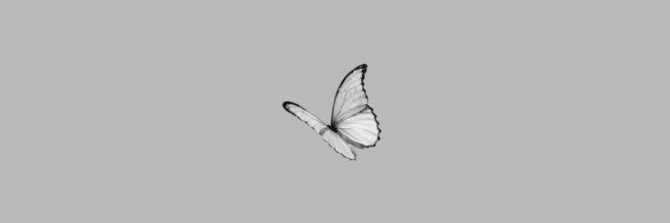 lincarv's profile banner image