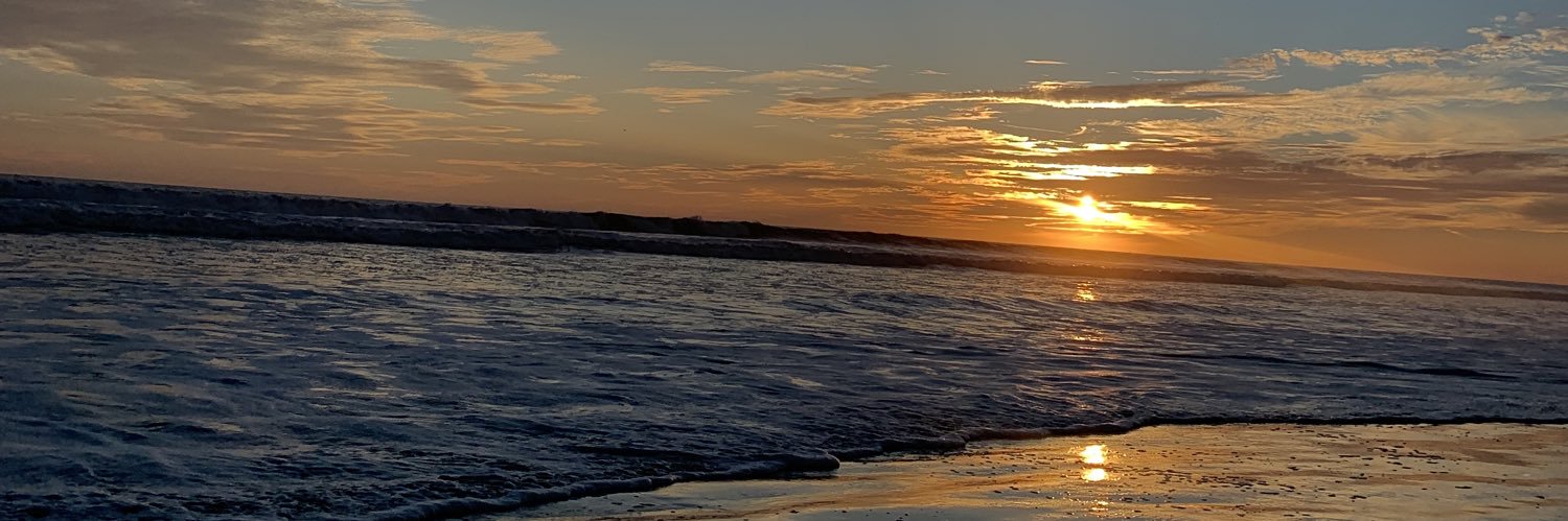 MariaFerNieto's profile banner image
