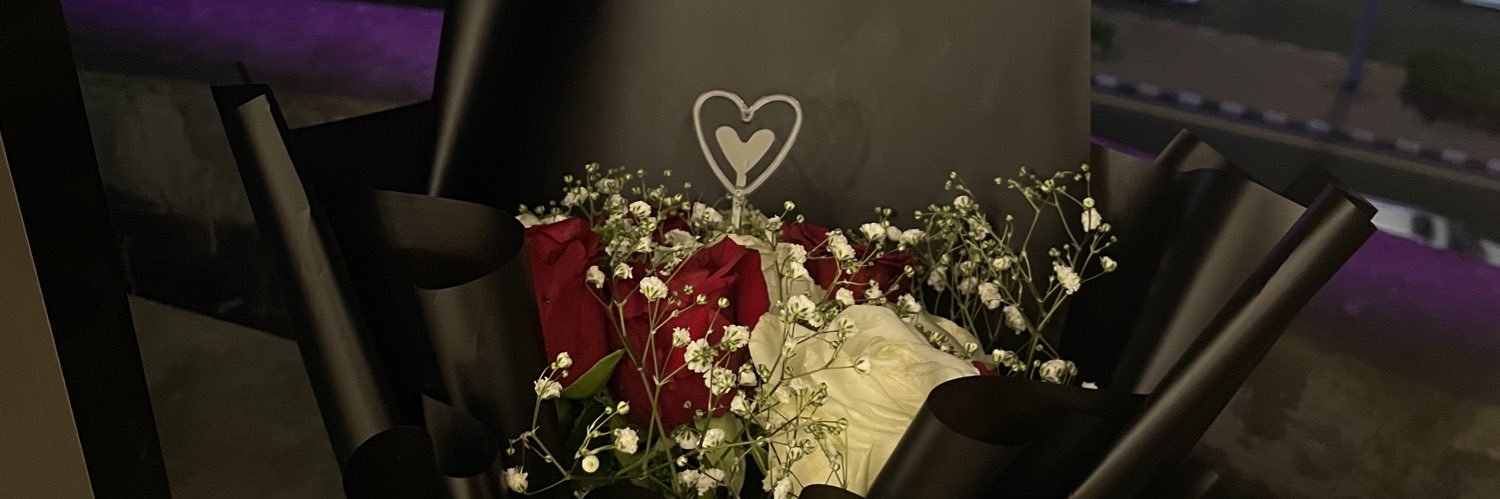 soraheartly . banner