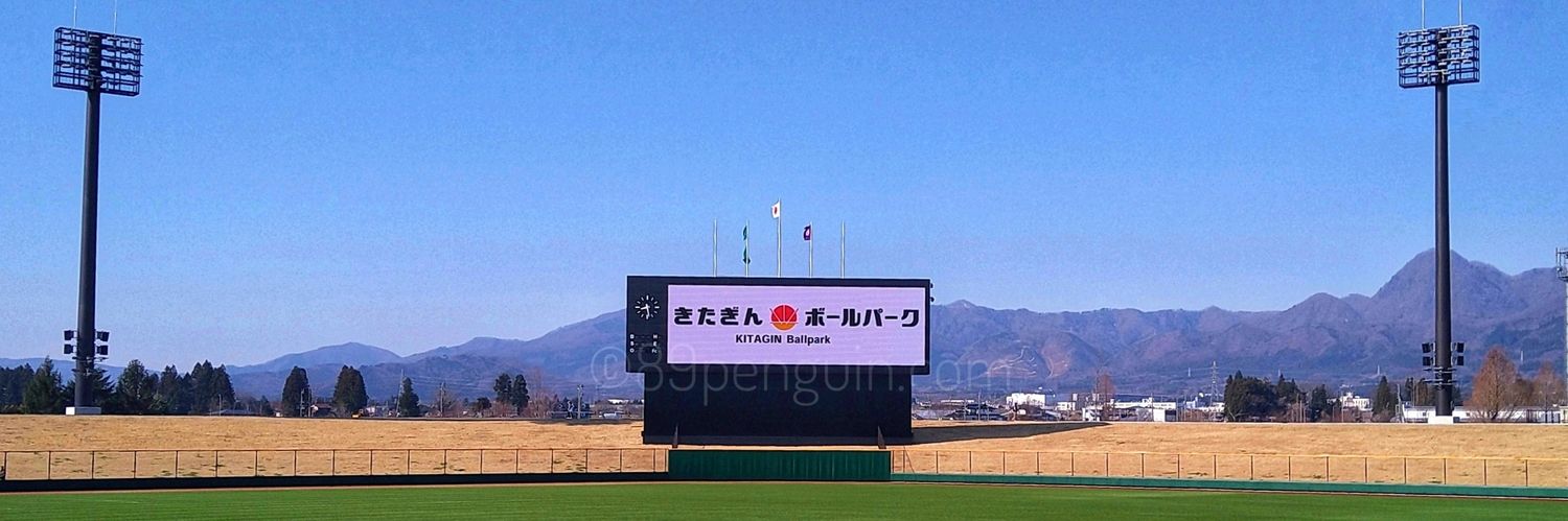 白球ペンギン banner