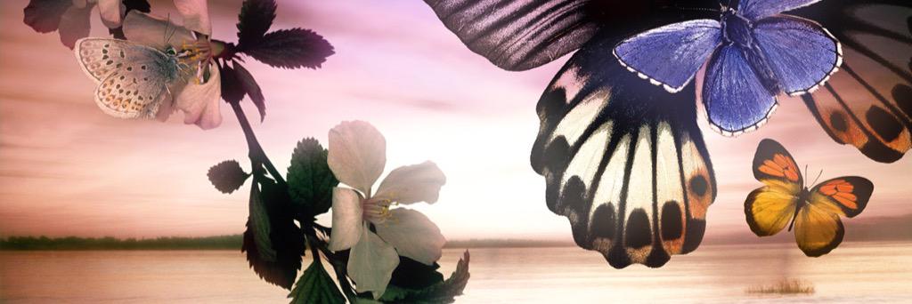 Remany222's profile banner image