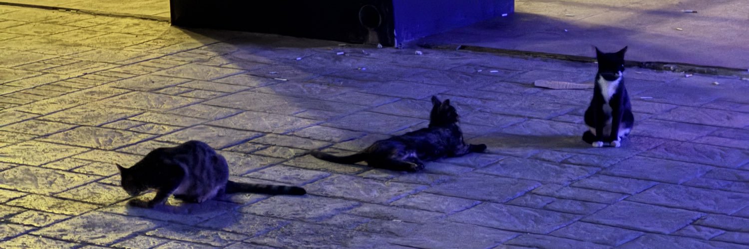 ufukseyithan's profile banner image