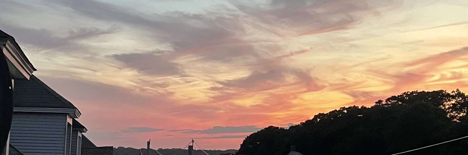 alevasseurr's profile banner image