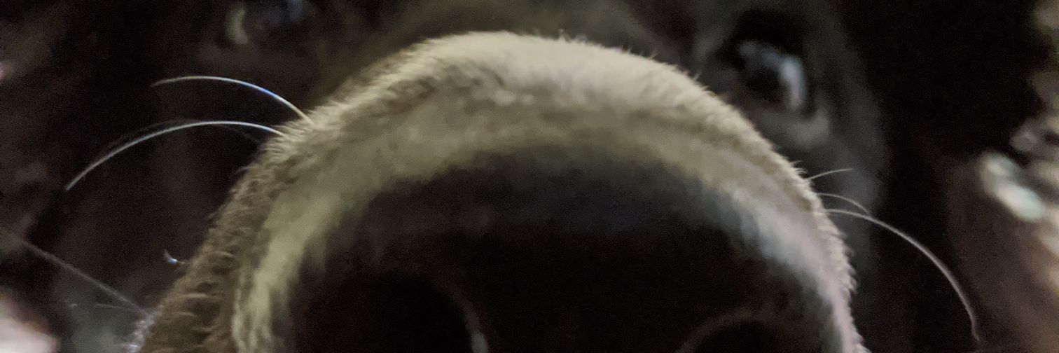 Mr_NeverWas's profile banner image