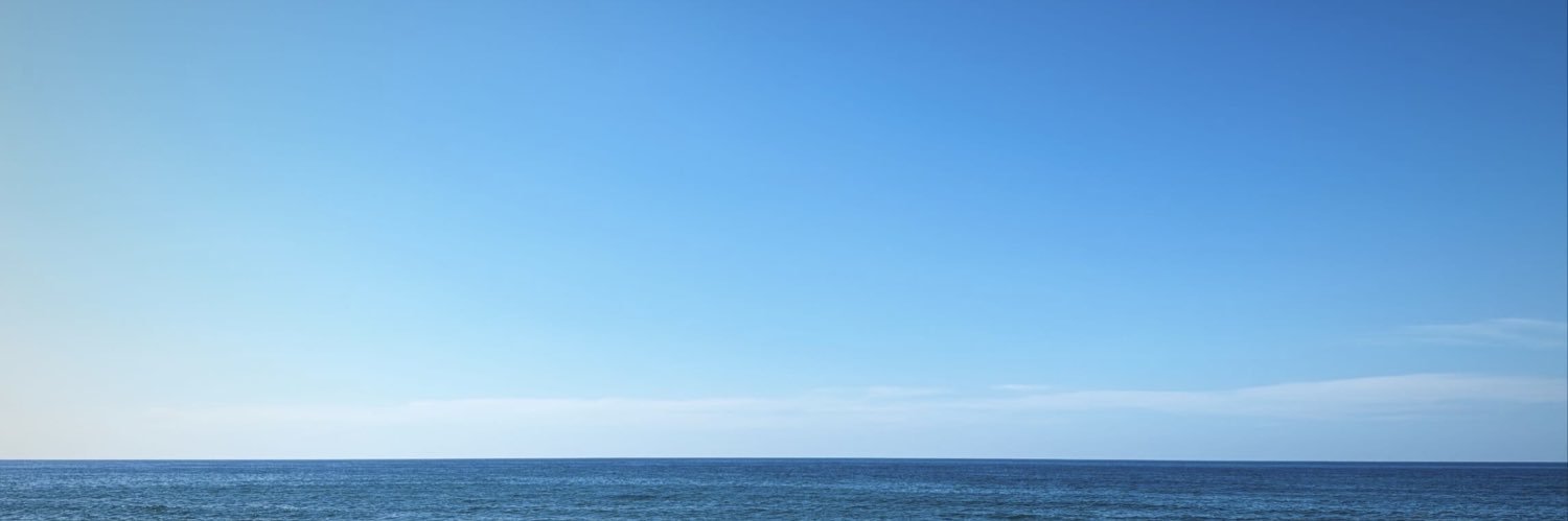 luizbenedic's profile banner image