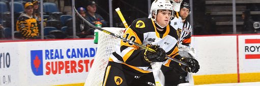 Gavin White banner