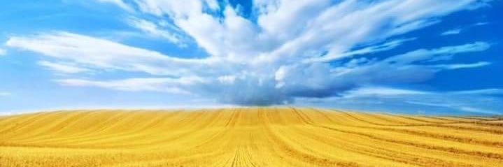 Людмила Печальная banner