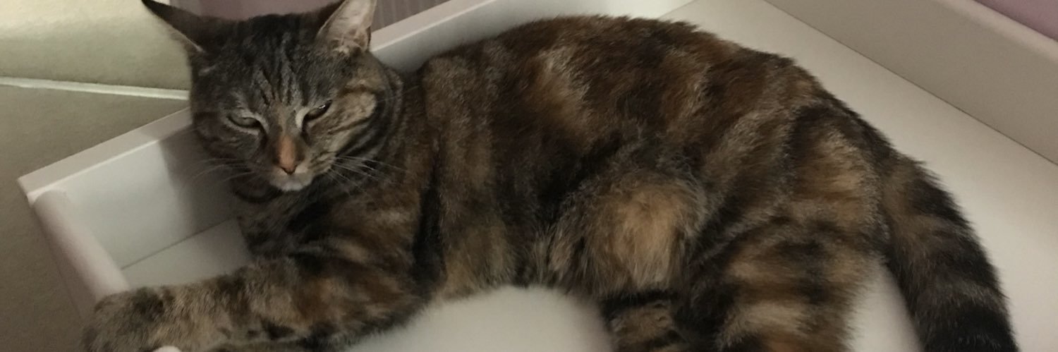 Amy_Woolley's profile banner image