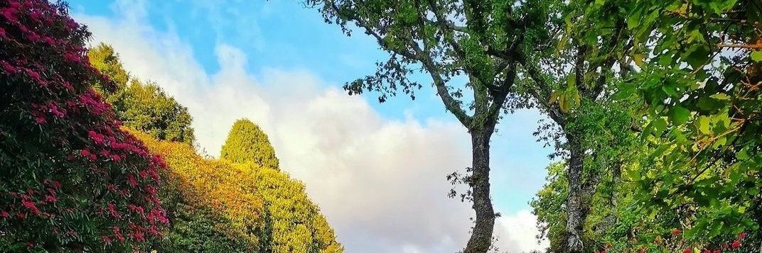 Stephen27M's profile banner image