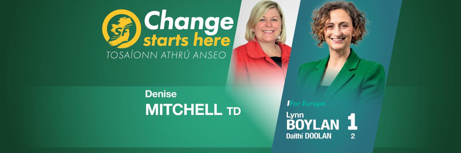 Denise Mitchell TD's banner
