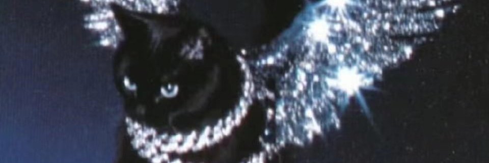 3033Shota's profile banner image