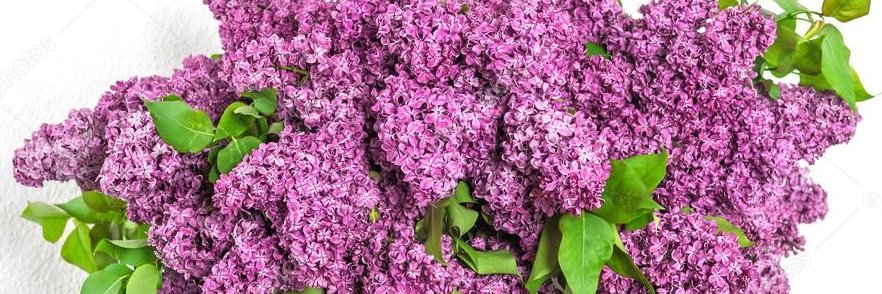 OLSUN SEN DE özlem banner