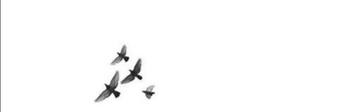 Meaad__77's profile banner image