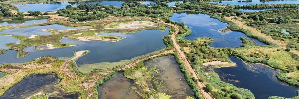 RSPBMiddleton's profile banner image