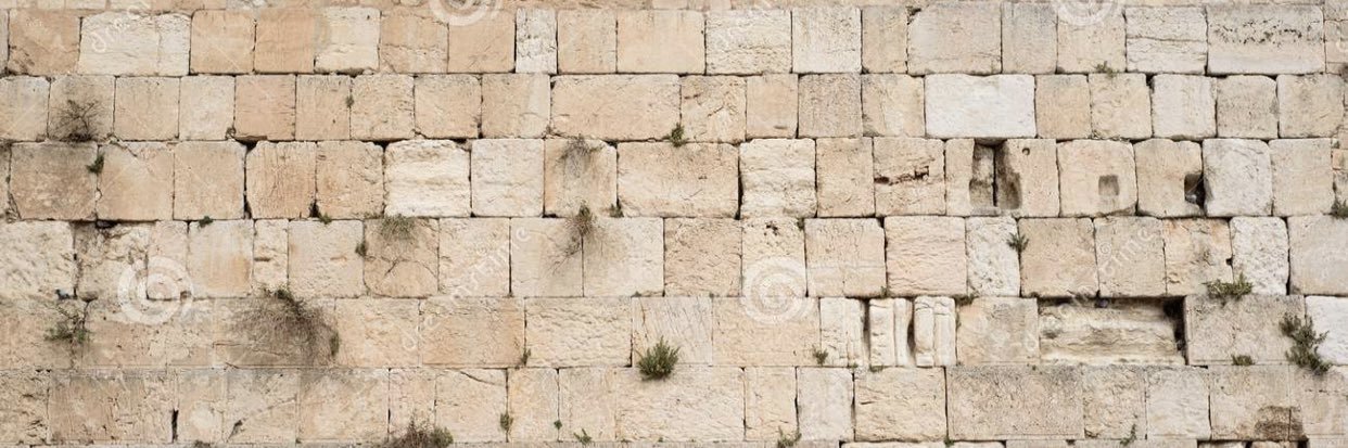 Rodrigo López banner