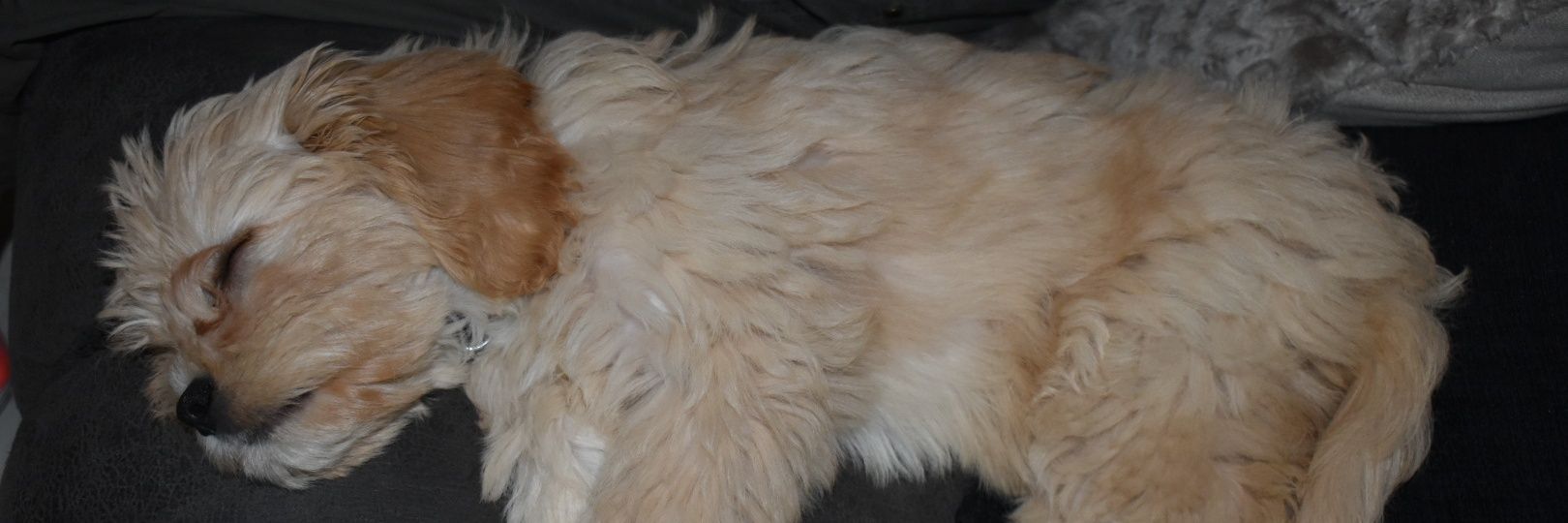 💖💖Debbie Burfoot 💖💖 banner