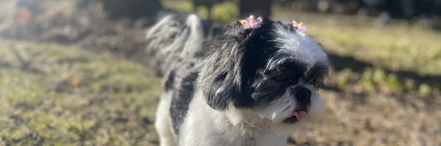 SydneyRoseLee's profile banner image