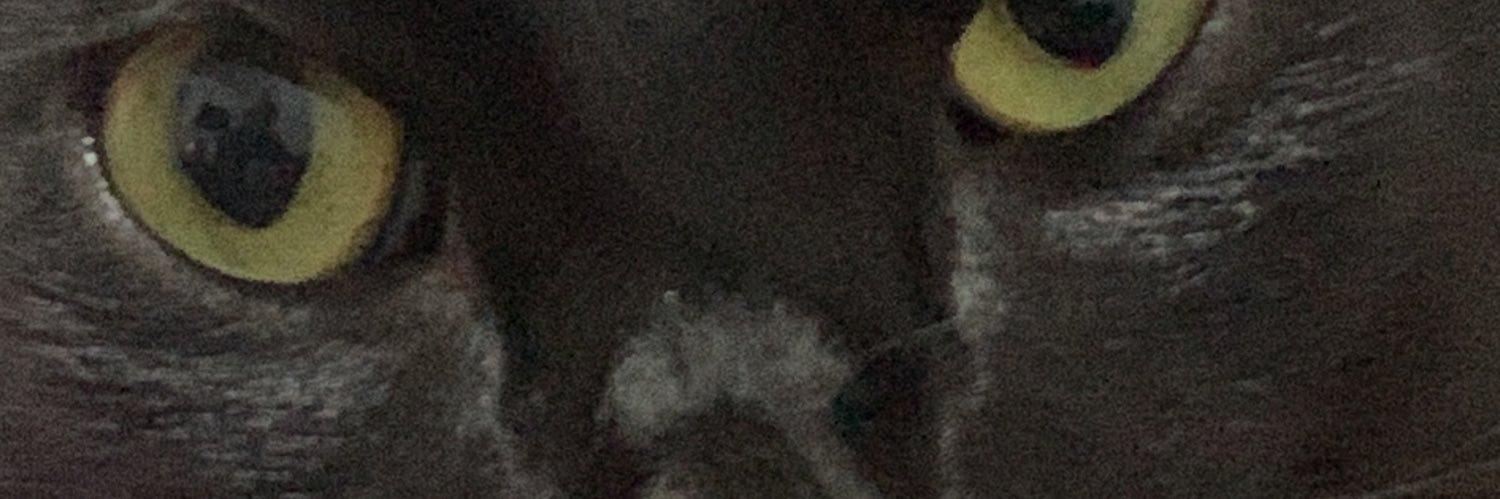 _Swatlm's profile banner image