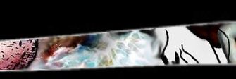 0xdoogs's profile banner image