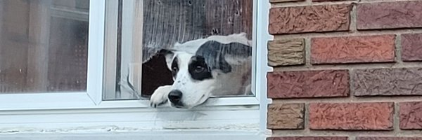 manthanucci Profile Banner