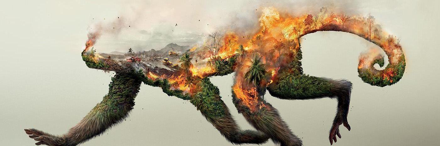 PlanetAnimalia's profile banner image
