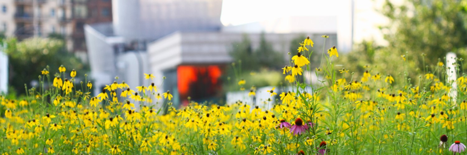 Urban_Ecosystem's profile banner image