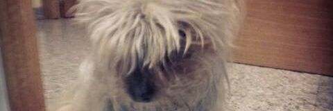 Gasolution16's profile banner image