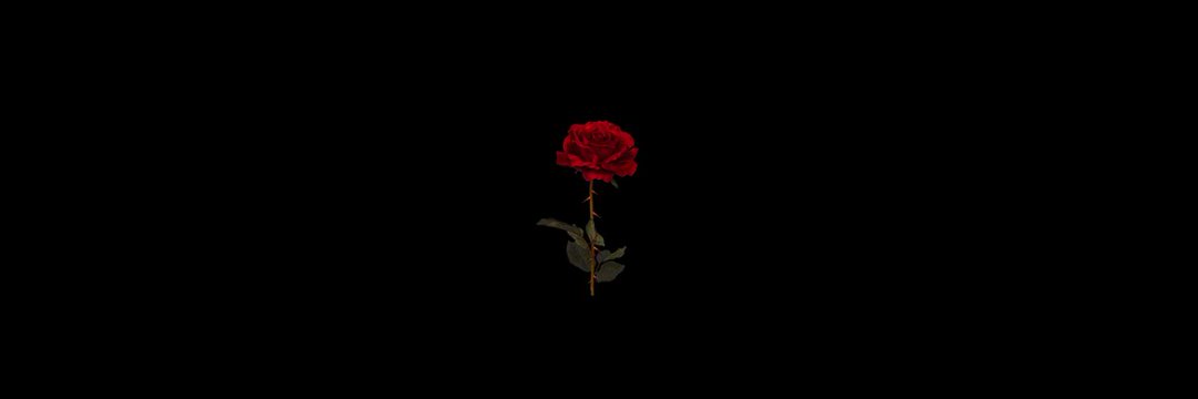 paulsmjle's profile banner image
