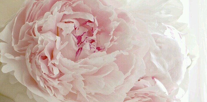 aSplashOf_Yessy's profile banner image