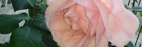 MirthaCasti Profile Banner