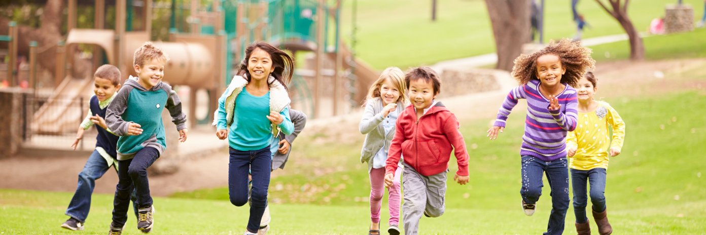 CHOICES Project banner