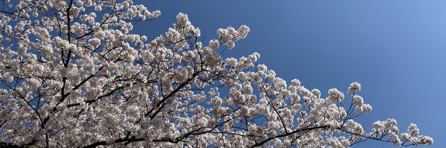 xinchao__mi's profile banner image
