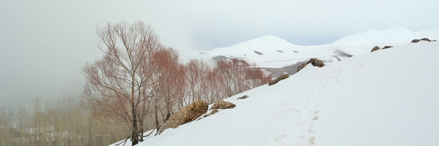 Amirsrz's profile banner image