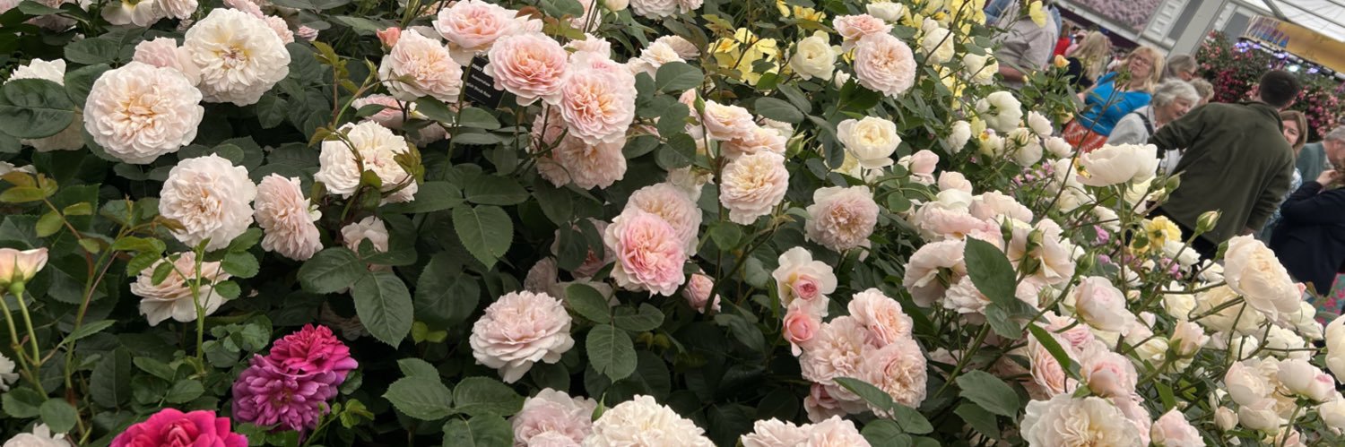 Julie - MAT CFOO - FISBL banner