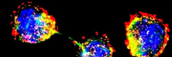 nanaborsa Profile Banner