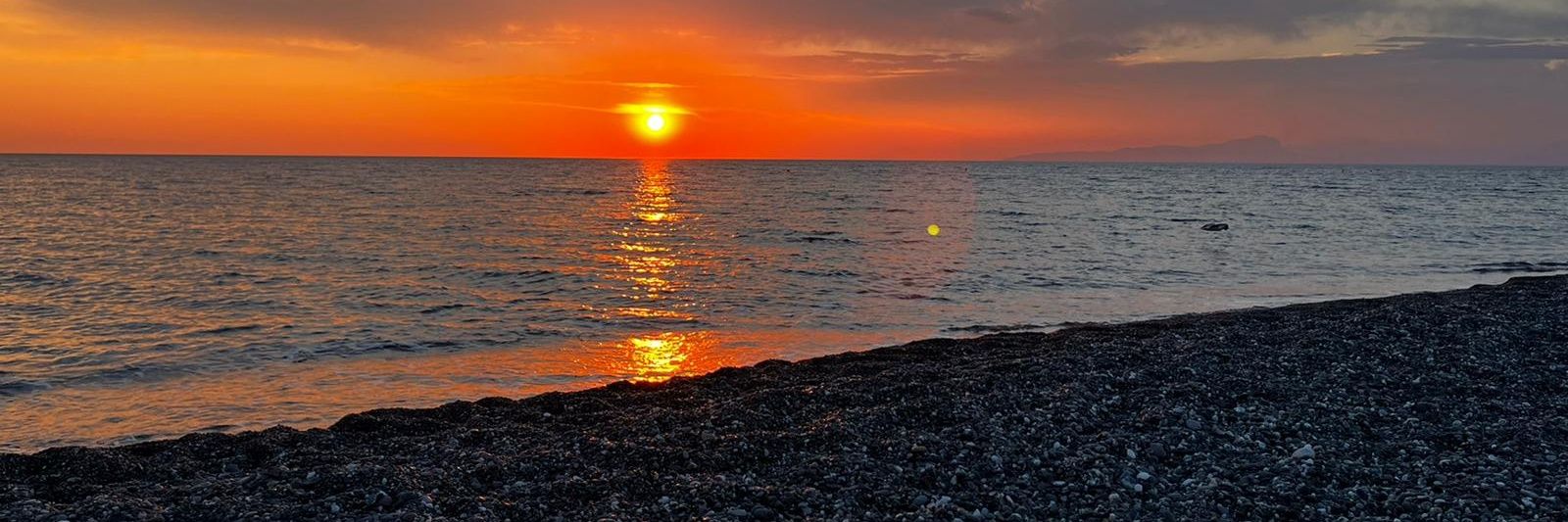 Davide Maresca banner